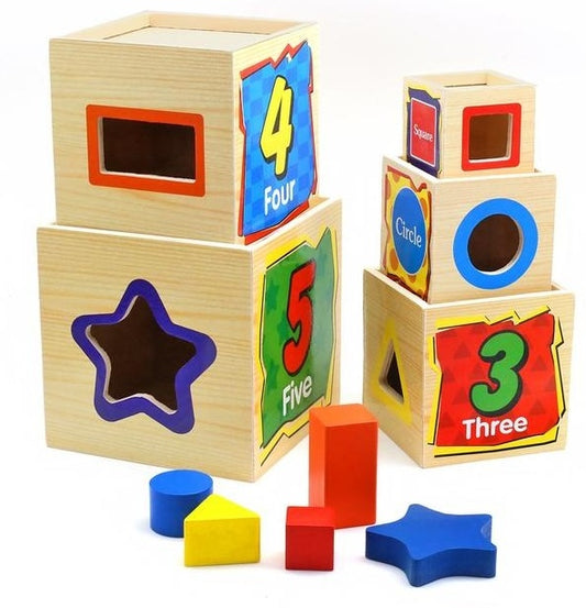 Wooden Wisdom Sorter Shape Blocks 5Pcs Set