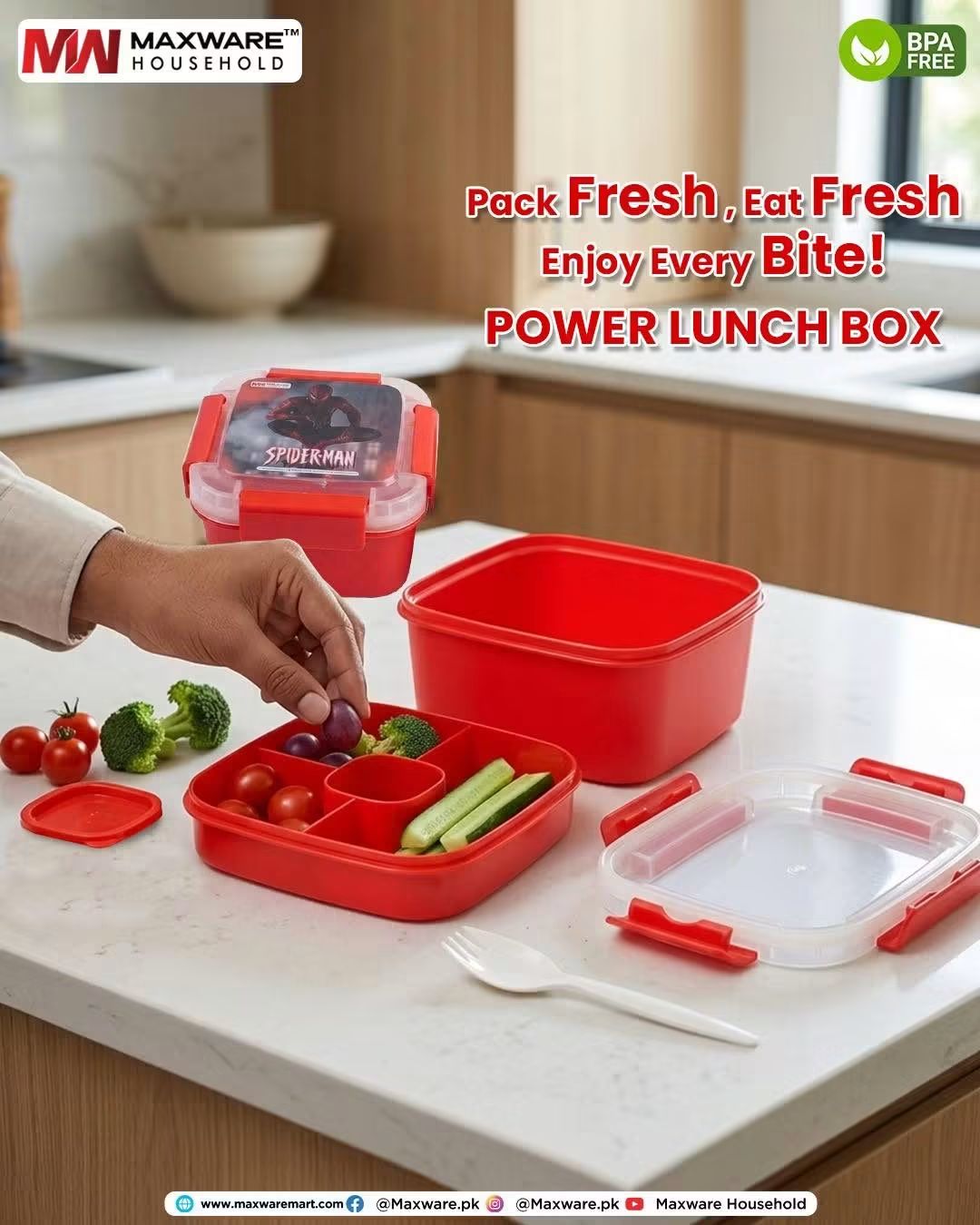 Power Lunch Box with Fork & Separator Tray